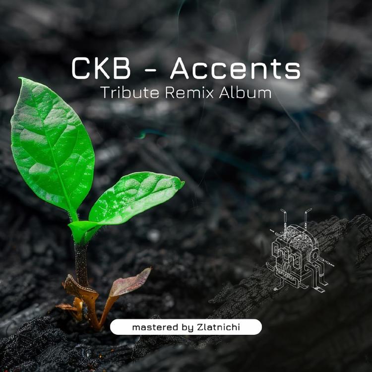 CKB's avatar image