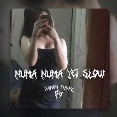 DJ NUMA NUMA YEI SLOW MENGKANE's cover