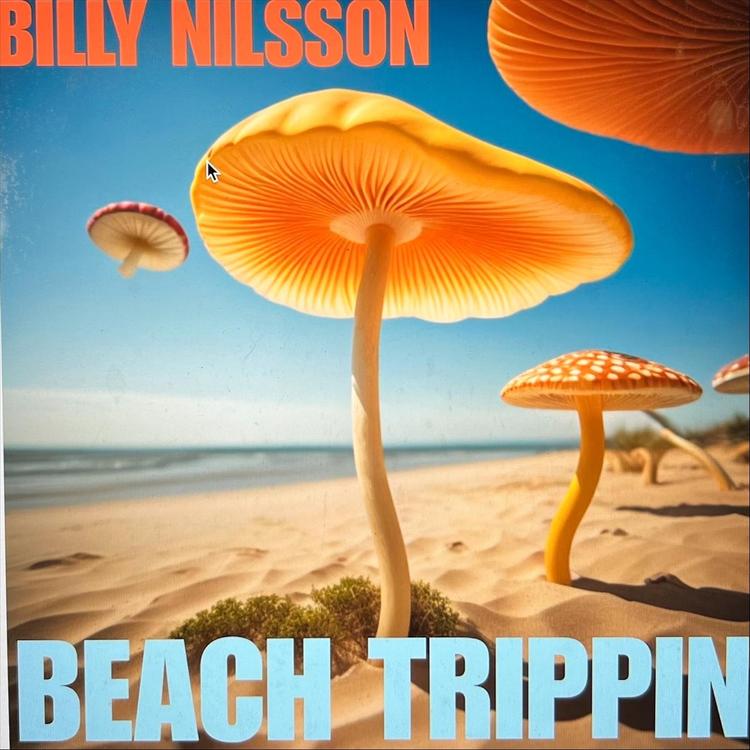 Billy Nilsson's avatar image