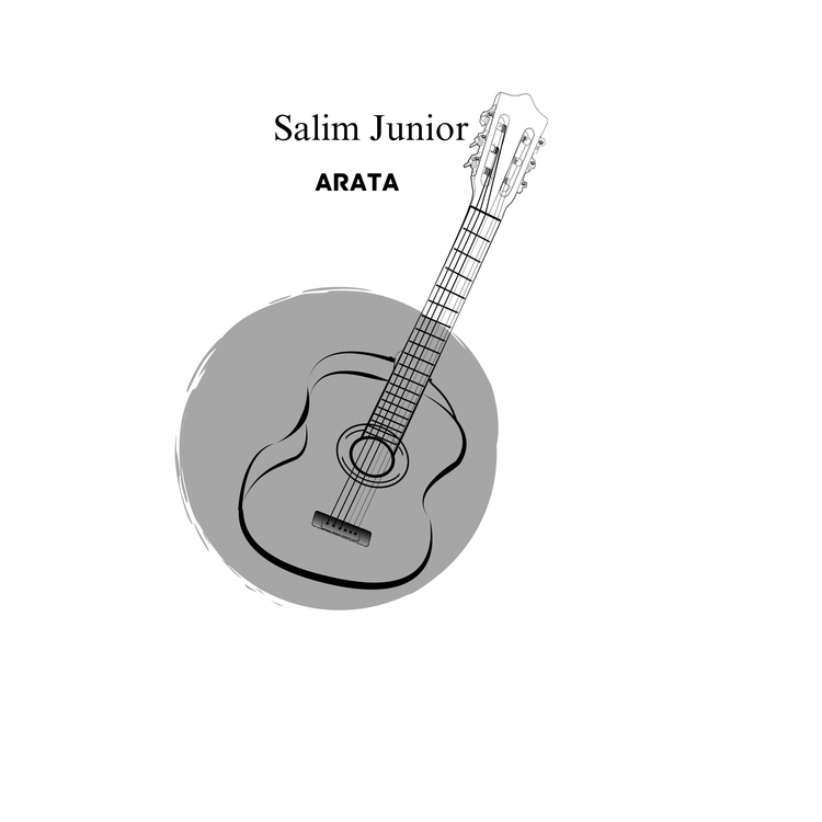 Salim Junior's avatar image