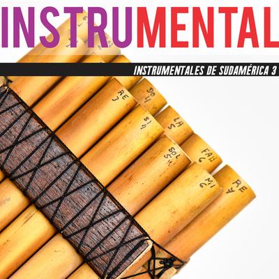 Instrumentales De Sudamérica 3's cover