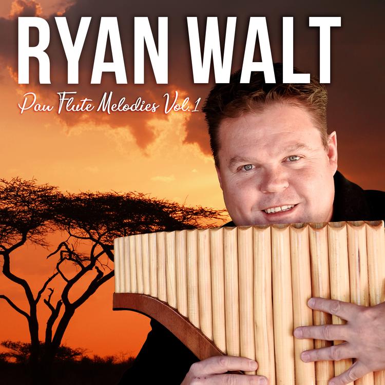 Ryan Walt's avatar image