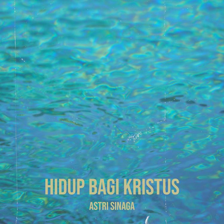 Astri Sinaga's avatar image