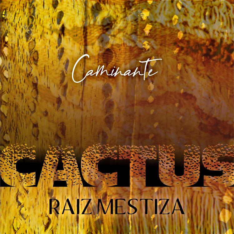 Cactus Raíz Mestiza's avatar image