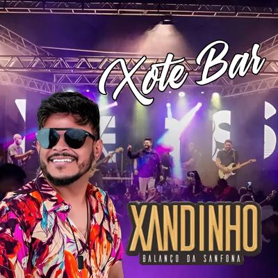 Xandinho & Balanço da Sanfona's cover