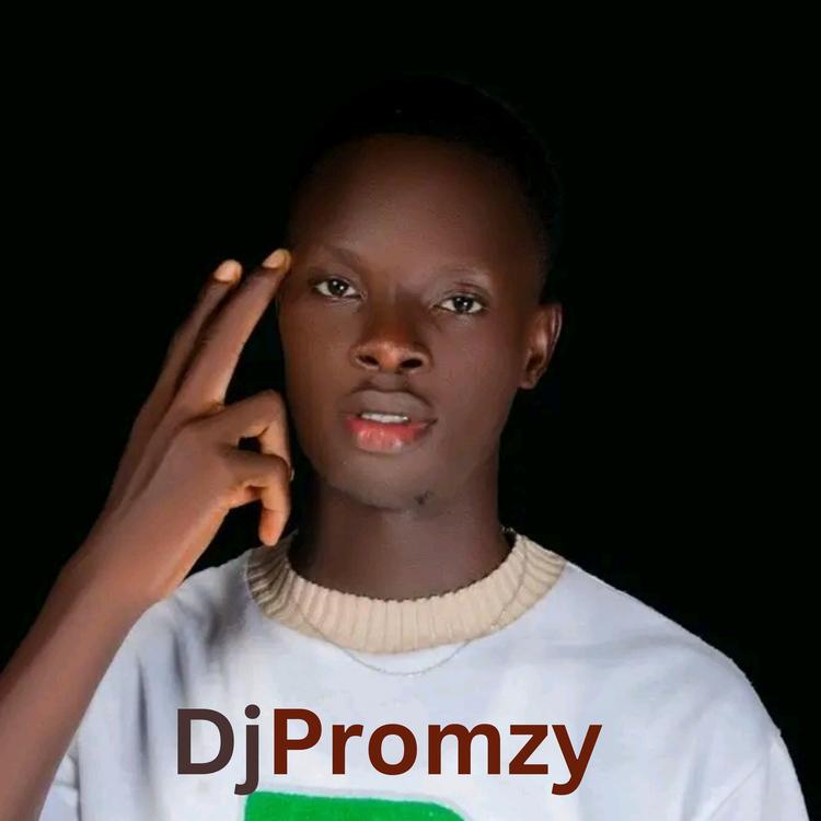 DjPromzy's avatar image