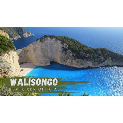 Walisongo's cover