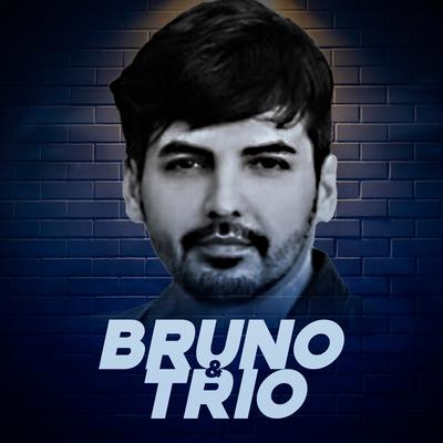 Podem Me Prender By Bruno e trio's cover