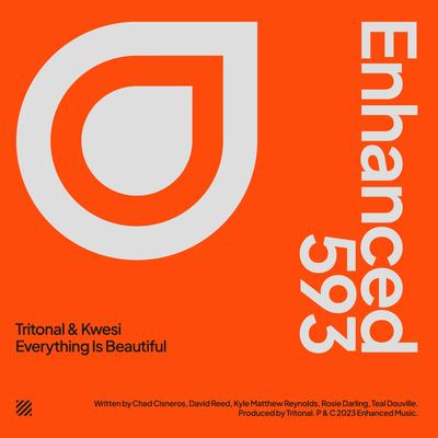 Everything Is Beautiful's cover