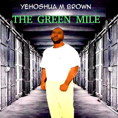 The Promise By Yehoshua M Brown's cover