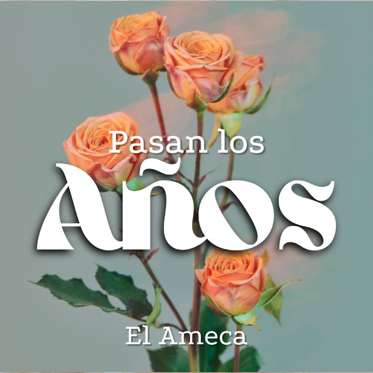 El Ameca's avatar image