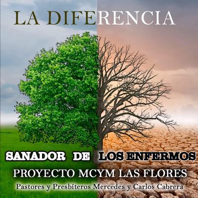 Proyecto Mcym Las Flores's cover