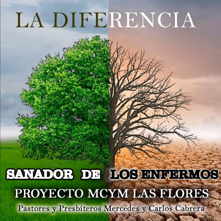 Proyecto Mcym Las Flores's avatar image
