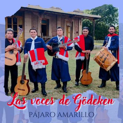 Pajaro Amarillo's cover