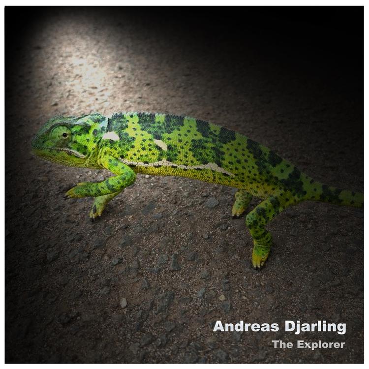 Andreas Djarling's avatar image