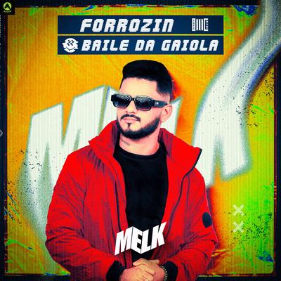 Forrózin Baile da Gaiola By djmelk, Rave Produtora's cover