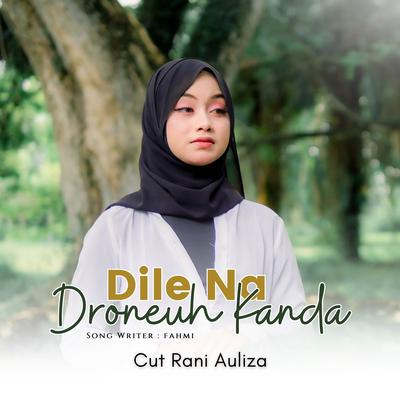 Dile Na Droneuh Kanda's cover