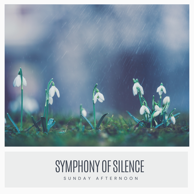 Symphony of silence's cover