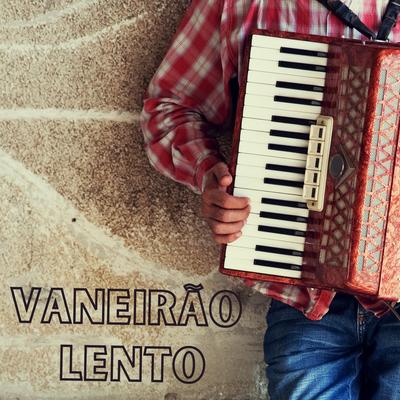 Veneirão Lento's cover