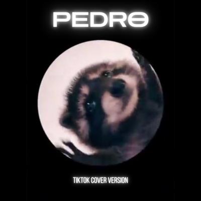 Pedro (TikTok Cover Version)'s cover