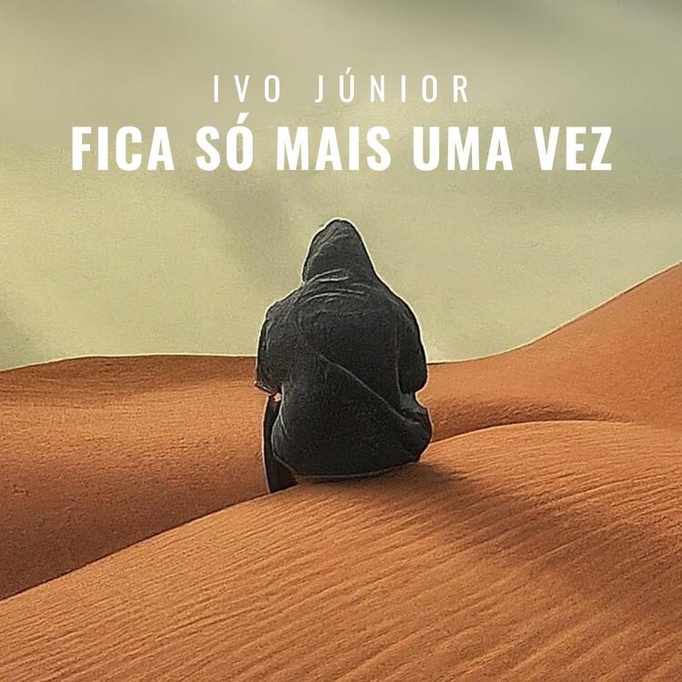 Ivo Junior's avatar image