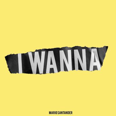 I Wanna's cover