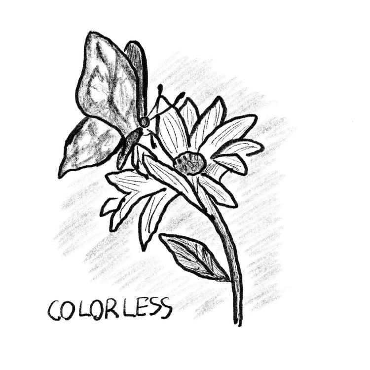 Colorless's avatar image