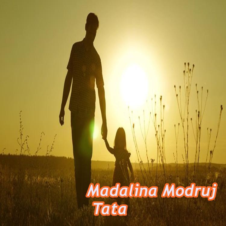 Madalina Modruj's avatar image