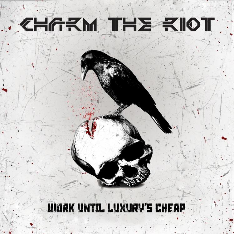 Charm the Riot's avatar image