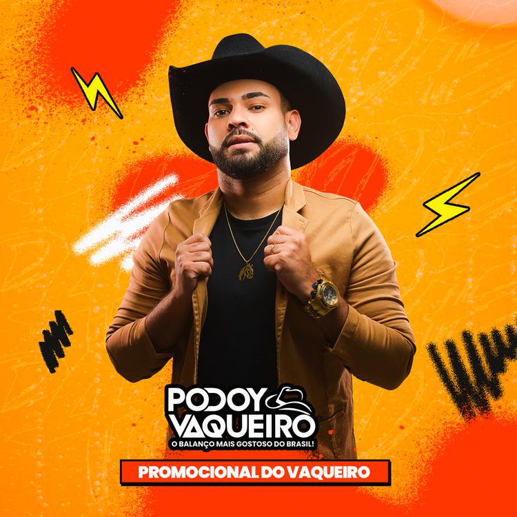 Podoy Vaqueiro's avatar image