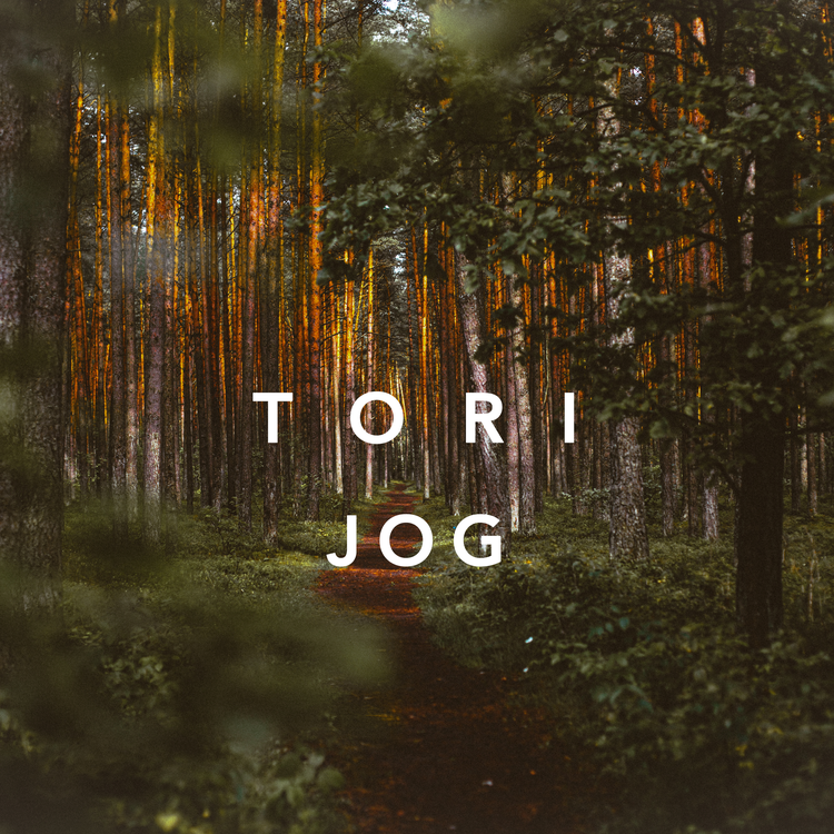 Tori's avatar image