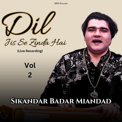 Dil Jis Se Zinda Hai (Vol 2)'s cover