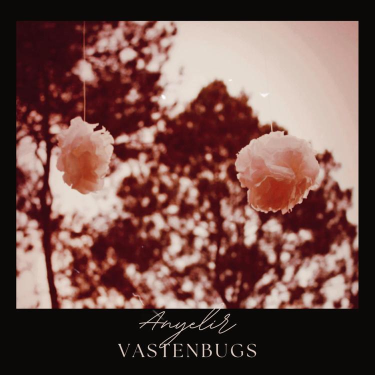 Vastenbugs's avatar image