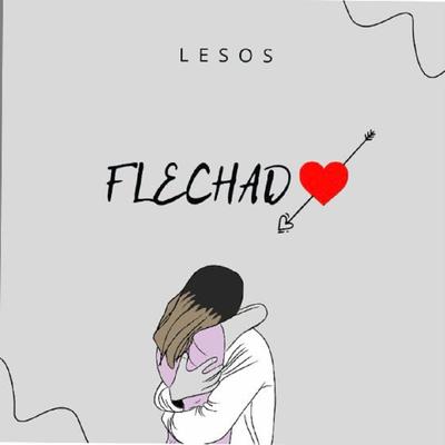 Flechado.'s cover