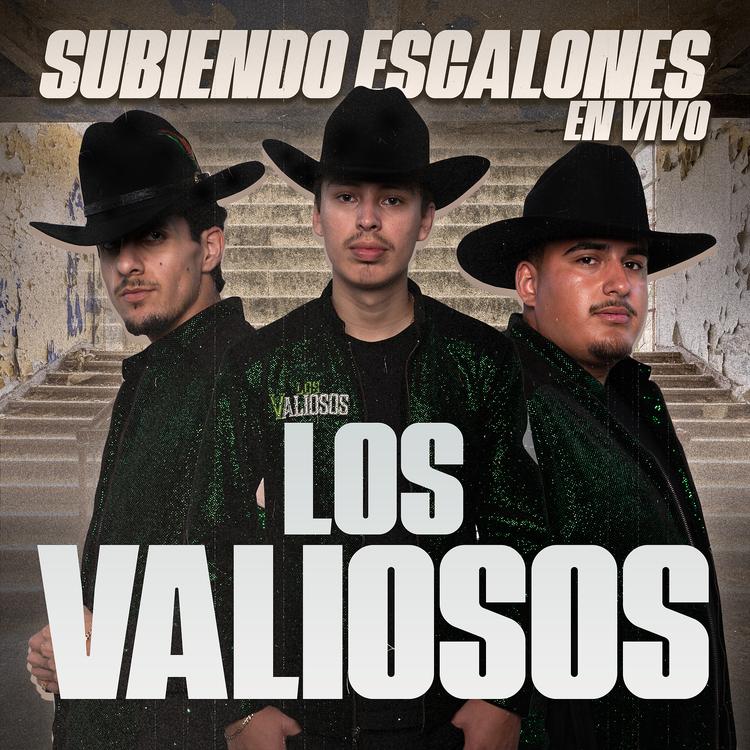 Los valiosos's avatar image