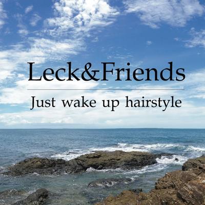 Leck And Friends's cover