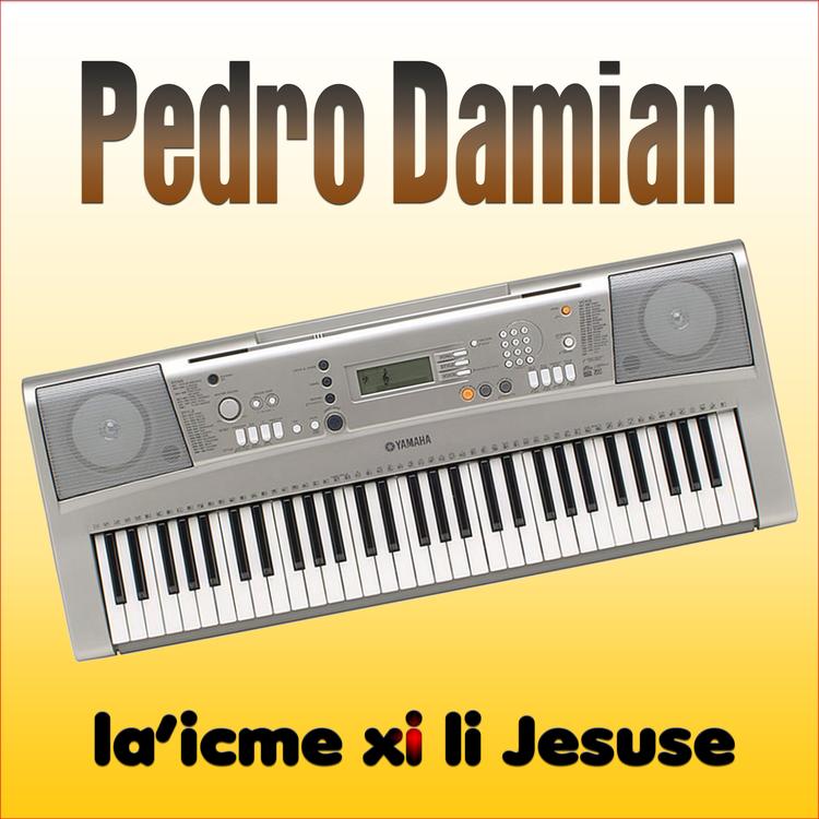 Pedro Damian's avatar image