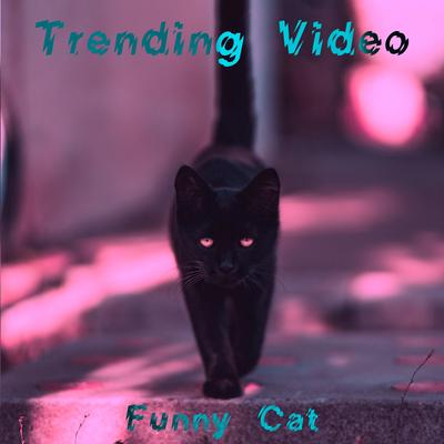 Funny Cat (Slowed + Reverb Tik-Tok Remix)'s cover