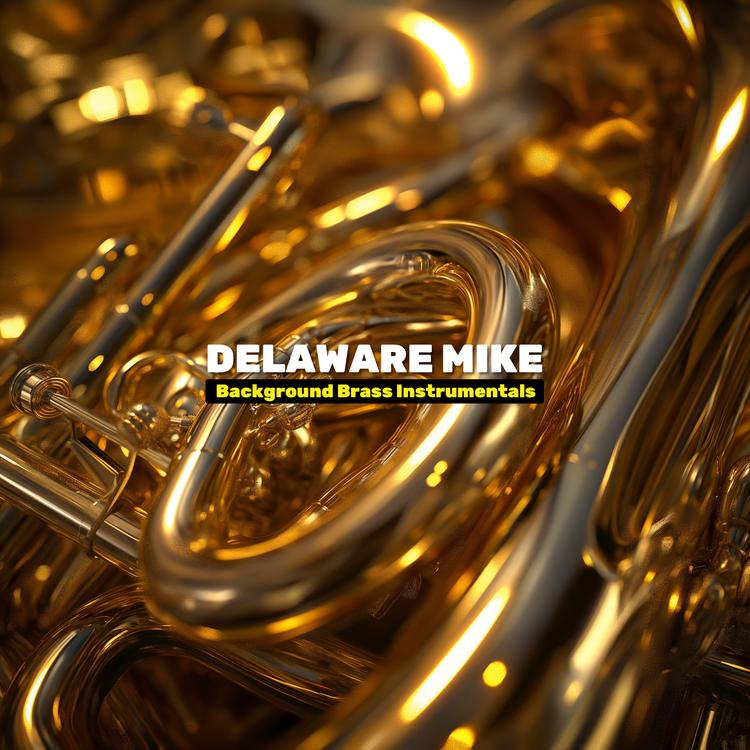 Delaware Mike's avatar image