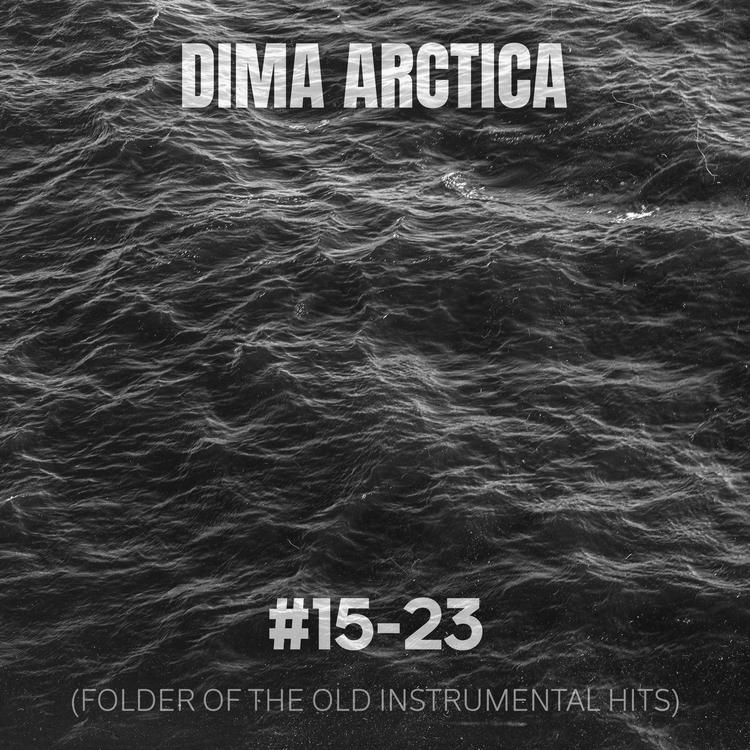 Dima Arctica's avatar image