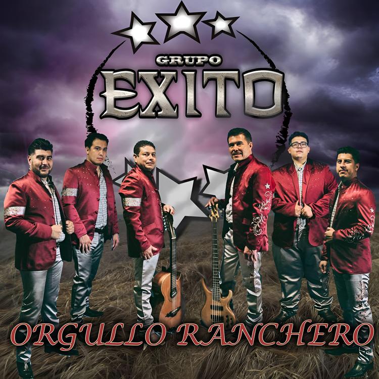 Grupo Exito's avatar image