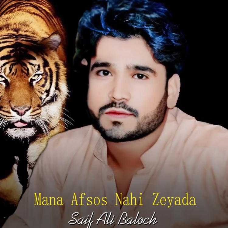 Saif Ali Baloch's avatar image