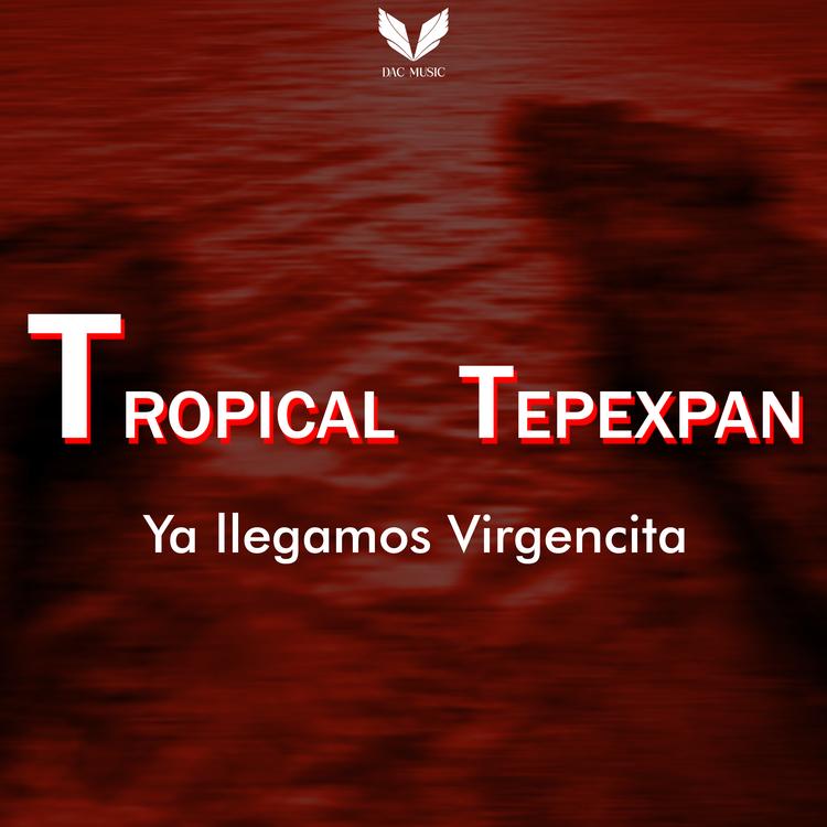 Tropical Tepexpan's avatar image