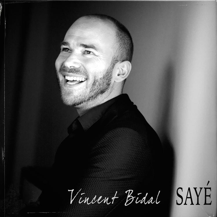 Vincent Bidal's avatar image