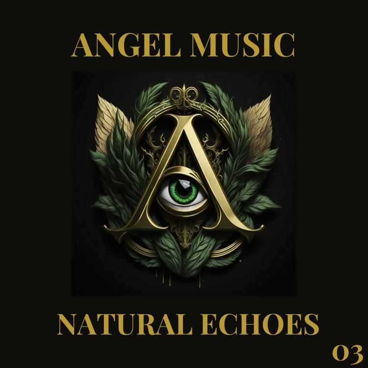 Angel Music's avatar image