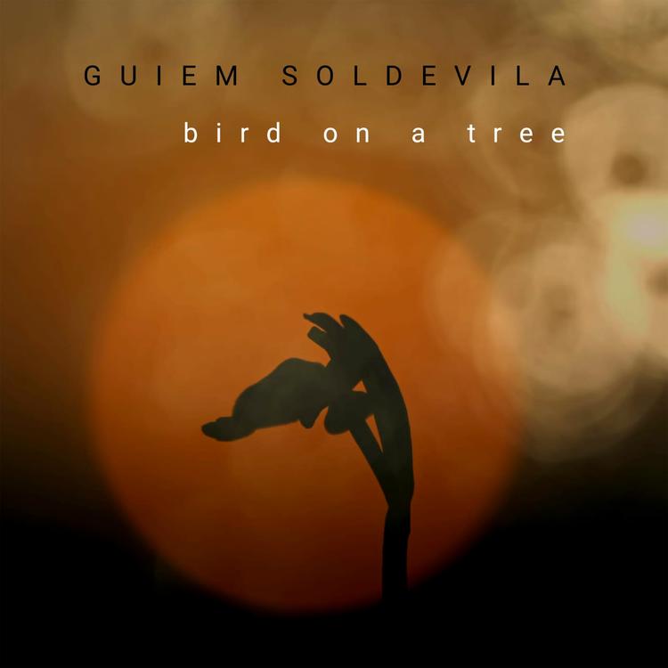 Guiem Soldevila's avatar image