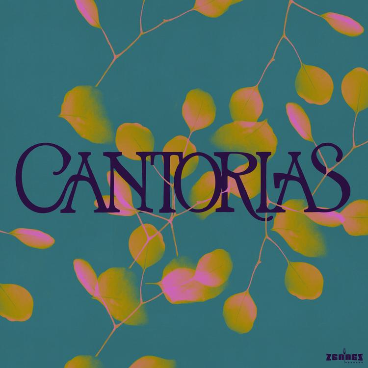 Cantorias's avatar image