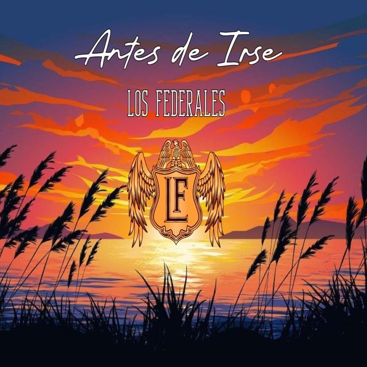 Los Federales's avatar image