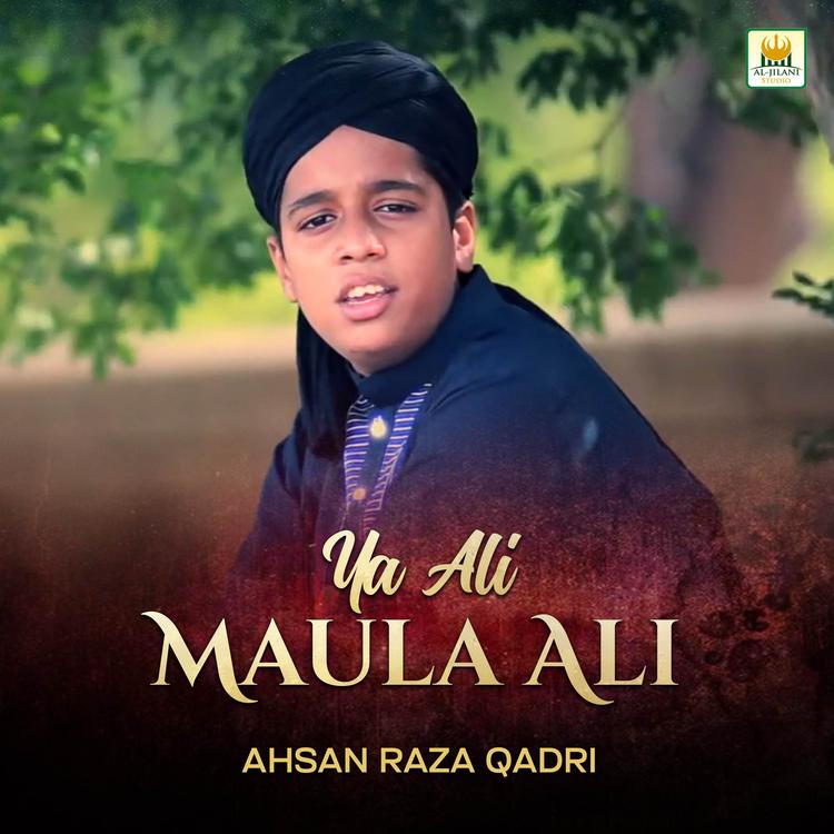 Ahsan Raza Qadri's avatar image