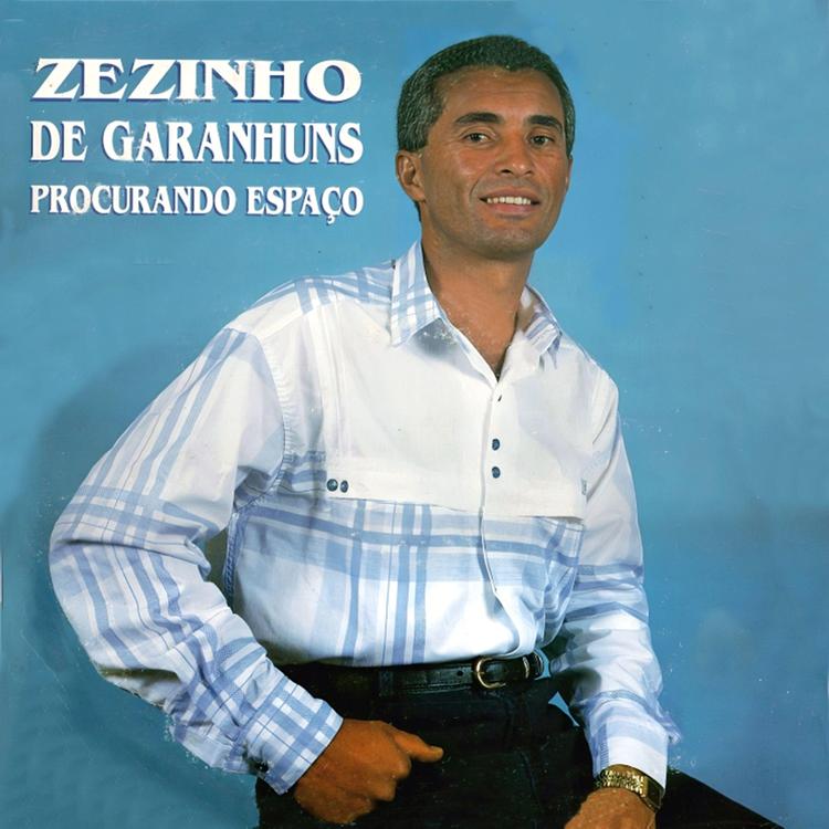 Zezinho de Garanhuns's avatar image